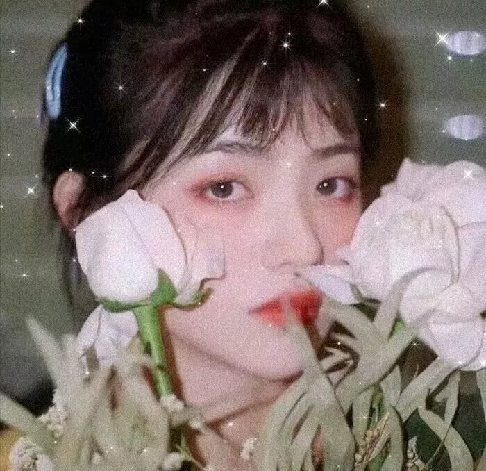 女孩青春纪事